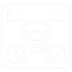 data backup verification icon