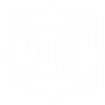 shield scanner magnifying glass icon