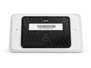 windshield tag