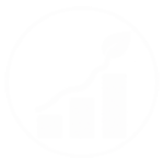 data and report